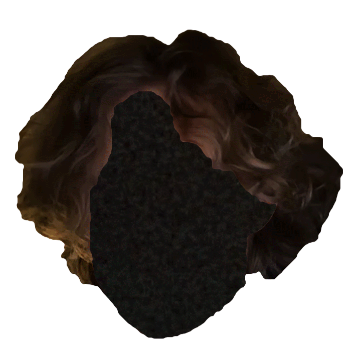 Logo.gif