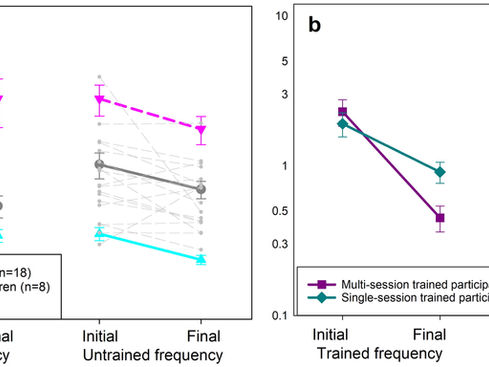 Different time courses of maturation for learning and generalization following auditory training in
