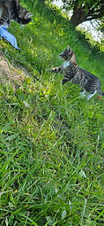 IMG-20230606-WA0035.jpg
