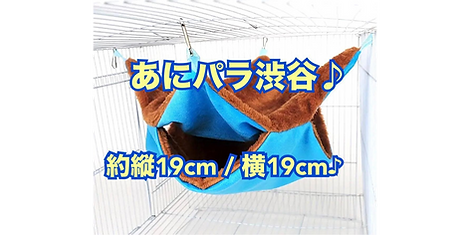 あにパラ ペットショップ 東京 動物 販売 ロゴ_edited_edited_e