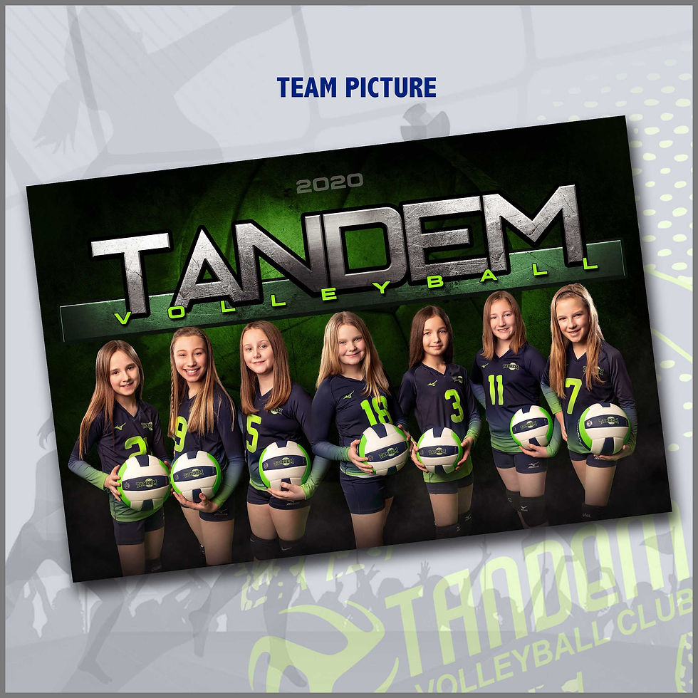 Thumbnail: Team Picture