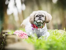 P&C_Wedding014