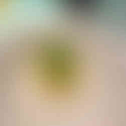 The Asparagus Menu Item from The Test Kitchen