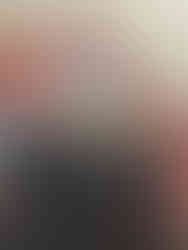 Journey to Madagascar sign at The Florida Aquarium in Tampa, Florida