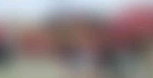 DLT! frente al Angel Stadium