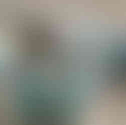 The Florida Aquarium Gift Shop in Tampa, Florida