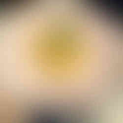 Enchilada de Pollo (Chicken) from Pink Agave