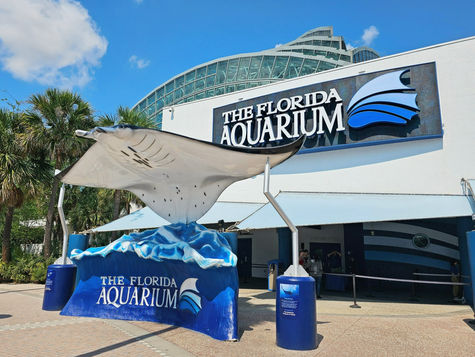 A Beginner's Guide to Visiting The Florida Aquarium