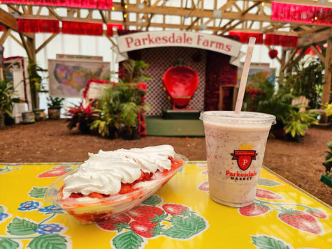 Pupusas, Mexican Food, and Desserts - Food near Dinosaur World