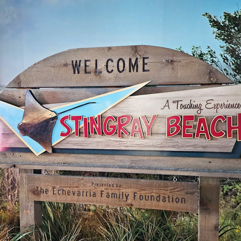Stingray Beach sign at The Florida Aquarium in Tampa, Florida