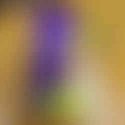 Ejemplo del cordón para muestras del Festival de Alimentos y Vinos de Busch Gardens para 15 púas