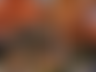 The Treehouse in the Suburbs