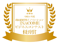 イナカム.png