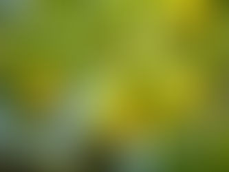 LE JUS DE CITRON QUAND ET COMMENT LE CONSOMMER AU MIEUX POUR SA SANTE