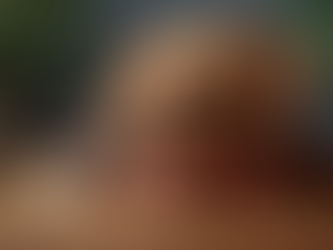 Explore Unique Australian Dog Gifts for Pet Lovers