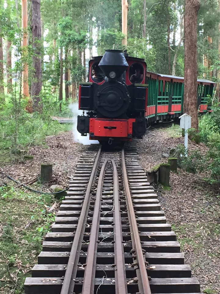 Ride the steam train at Timbertown
