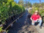 Daniel 'Chook' Fowler, happy employee of Greenbourne Nursery,Greenbourne Nursery, Wauchope, feature story by Brilliant-Online