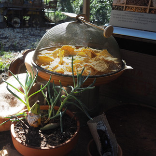 Grow Sustainability Living, Feature story by Brilliant-Online