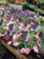 Greenbourne Nursery, featured on Brilliant-Online