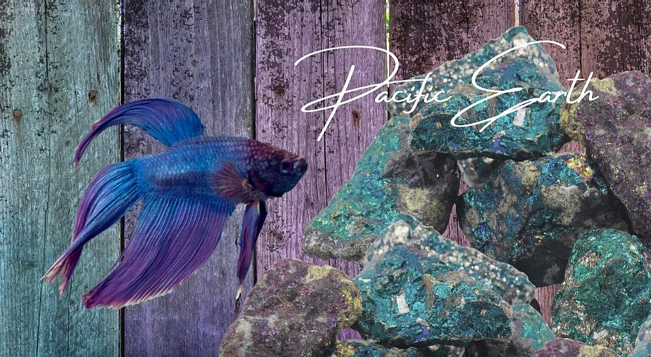 Beaches and Oceans of Australia, Pacific Earth coloured bio-acetate, Optex Australia, feature story by Brilliant-Online