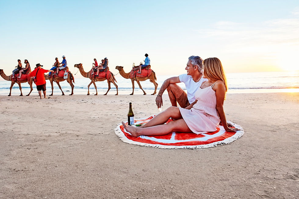 Check out the Australian Camels, Wauchope Travel, feature story by Brilliant-Online