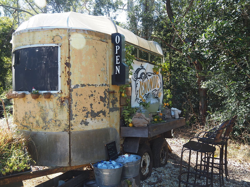 Grow Sustainability Living, Feature story by Brilliant-Online