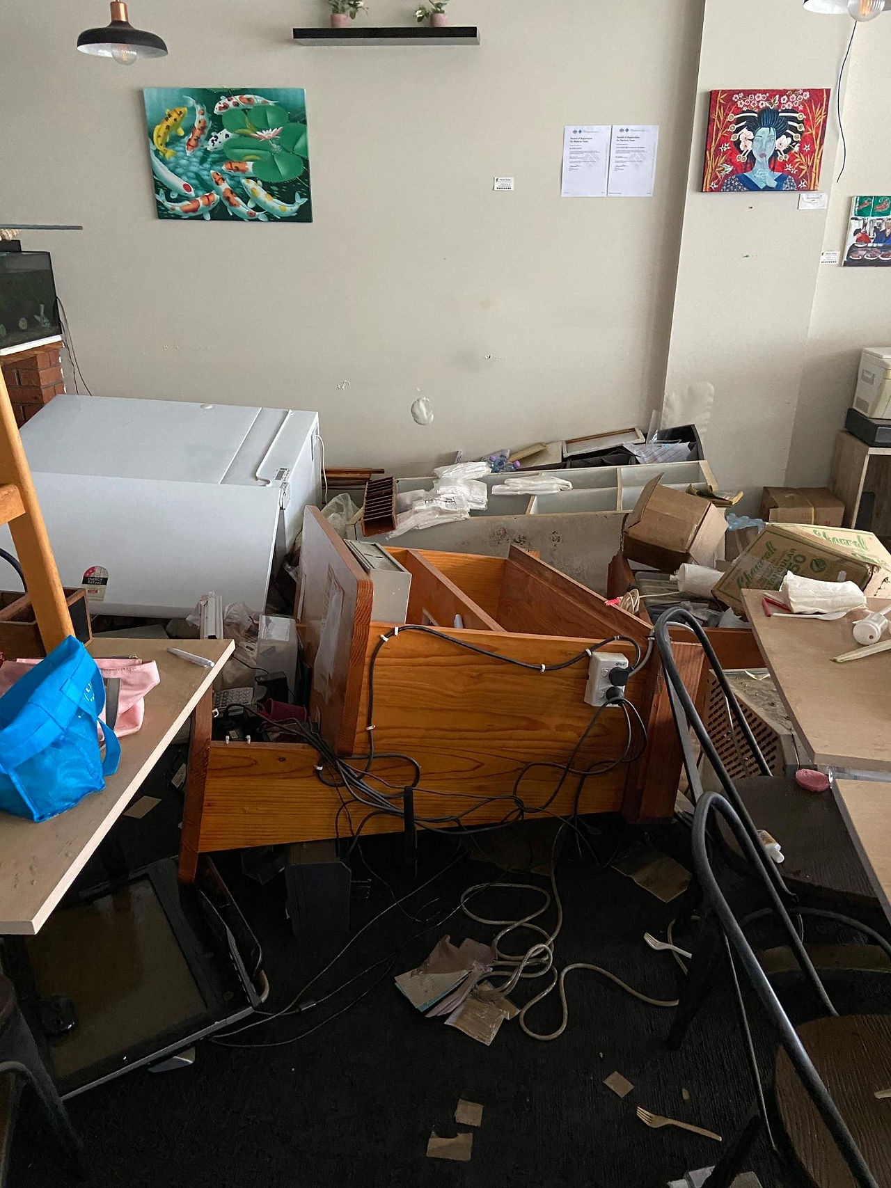 Damage in Sushiko, Feature story by Brilliant-Online