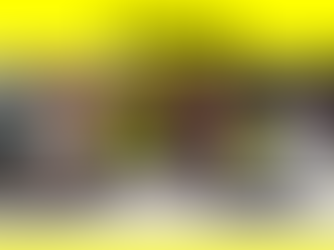 Blackstone Sustainability Report - Insights into an Industy-Leading Business