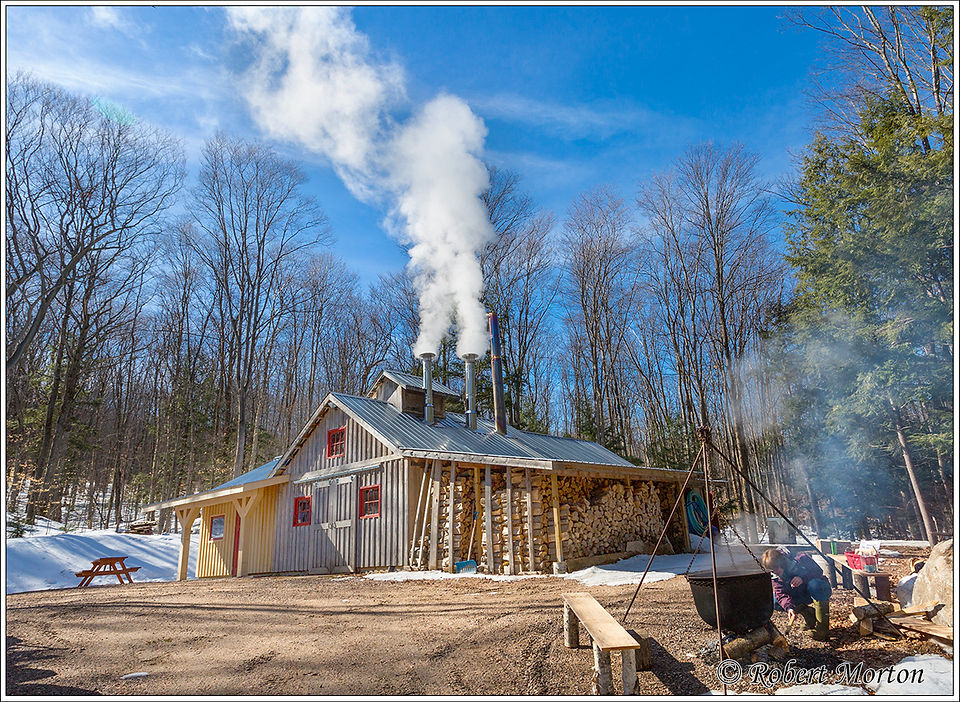 Bella Hill Maple Syrup Sugar Shack_Brilliant Online August
