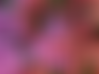 Greenbourne Nursery about Propagating in Spring