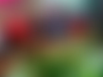 Safety and Child Welfare Top Priority at TG’s Child Care