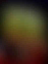 KVC Creations, Lucky Prize Draw Online Flood Auction, Brilliant-Online Flood Story