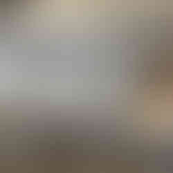 Newton Shutters, Blinds and Awnings, feature by Brilliant-Online