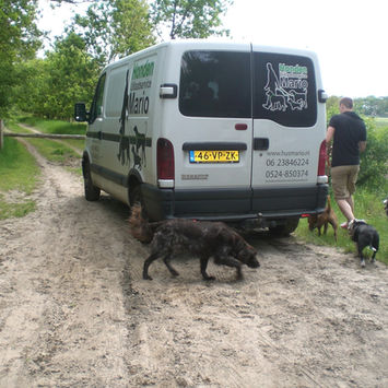 Mario samen met zijn hondenuitlaatservice-bus en honden.