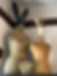 IMG_3004.JPEG