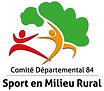 LOGO CDSMR84.jpg