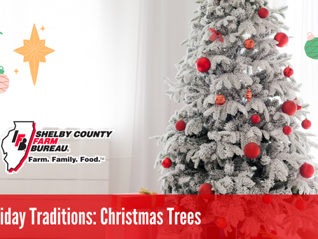 Holiday Traditions: Christmas Trees