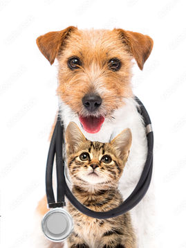Veterinary Products