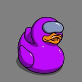8.jpeg