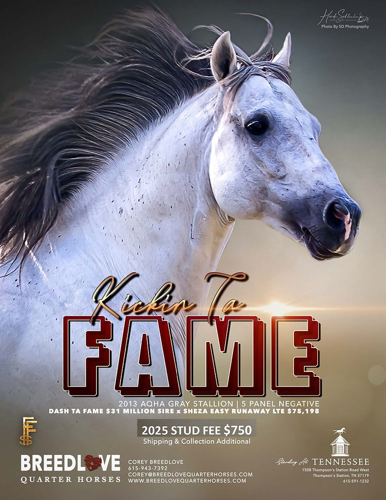 2025 Stud Flyer (1).jpg