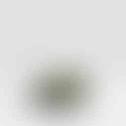 Ceramics on White background