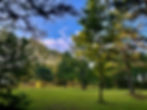 IMG_7429.jpeg