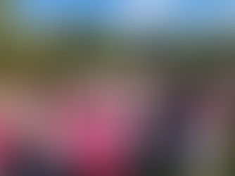 SSSGC Australia recognised for the largest community group participation in Mother's Day Classic