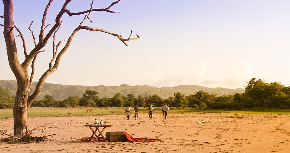 Walking Safari in Matusadona National Park