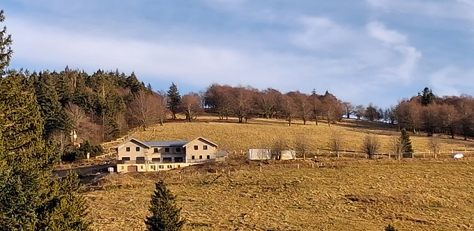 2025-12-18_1_Ecoauberge dans sa chaume.jpg