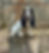 Photoroom_20250310_151050