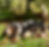 Photoroom_20250907_173008