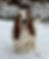 Photoroom_20260127_155704