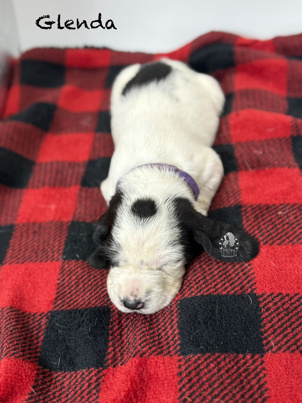 Photoroom_000_20251121_092737