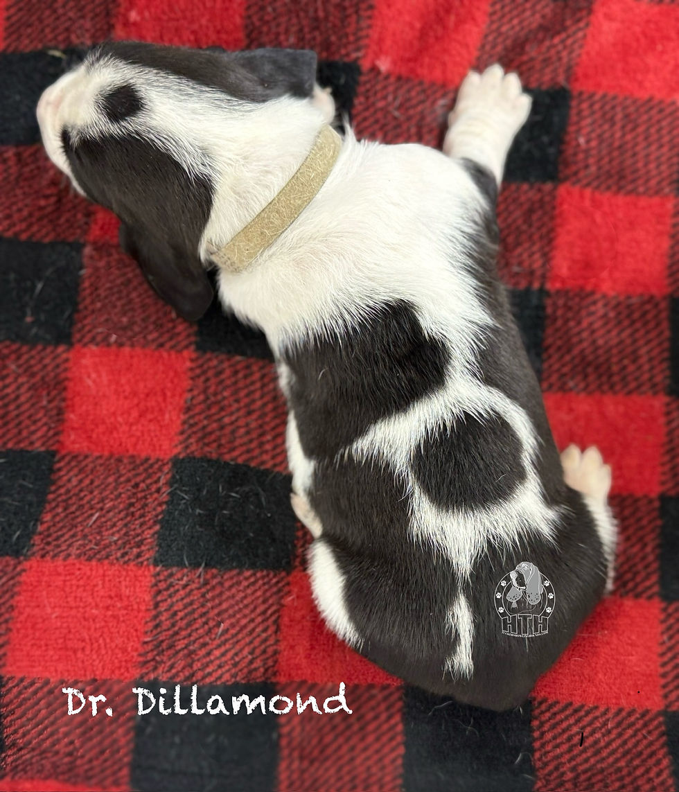 Photoroom_000_20251121_093951